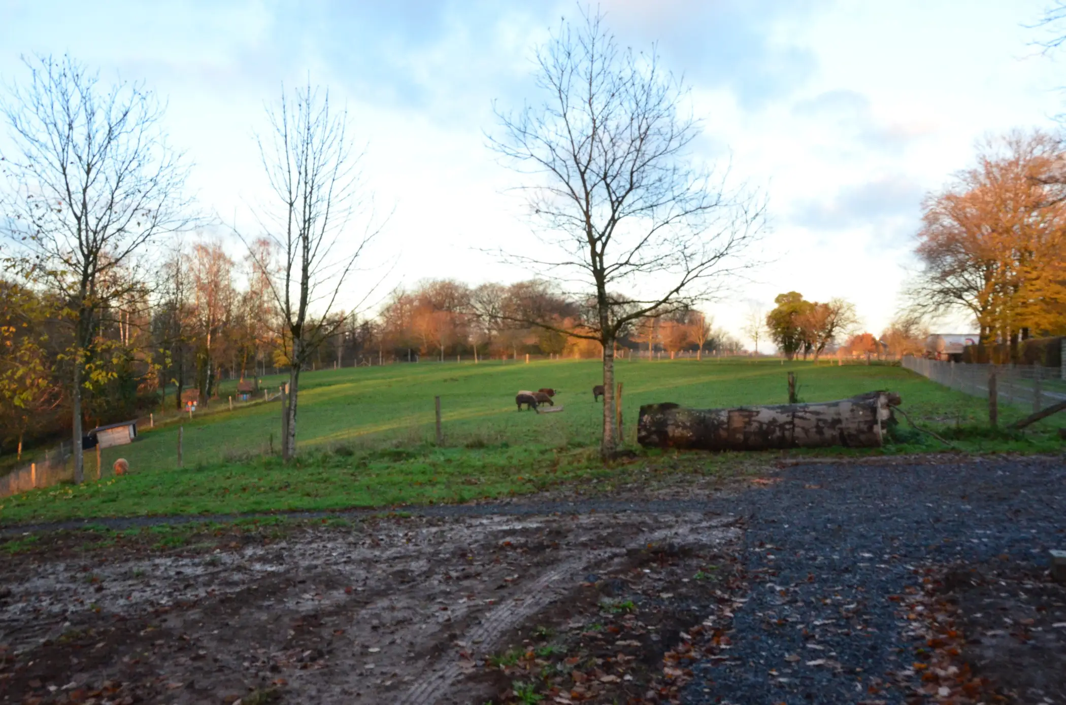 Cottage for 2 people in Gesves Les Cabanes des Pierreux : Ralf